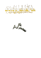 معالجة الأخطاء بالفيجول بايزيك دوت نيت صورة كتاب